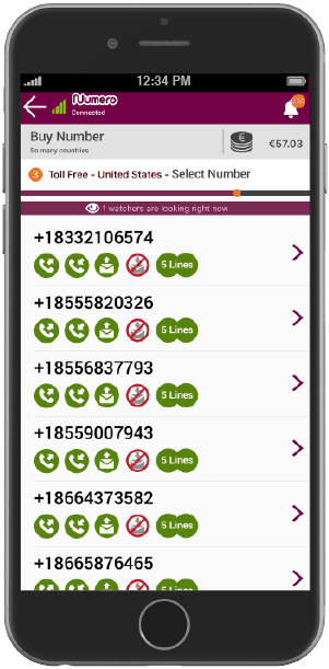 Number of lines your toll free number supports
